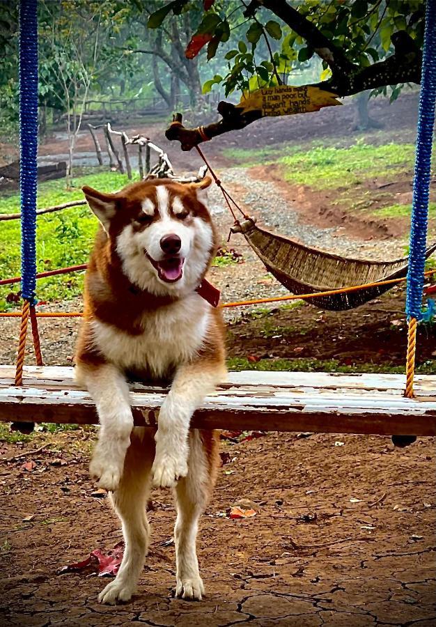 Windfarm Nature Escape Pililla エクステリア 写真